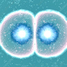 A close up of a cell

Description automatically generated