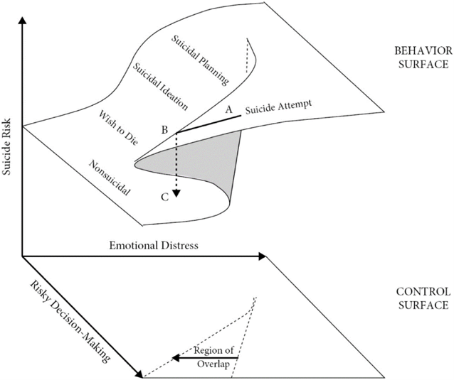 A diagram of a suicide attempt

Description automatically generated