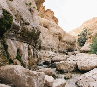A rocky canyon with a stream

AI-generated content may be incorrect.