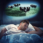A person lying in bed with cows in the background

Description automatically generated