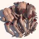 A pile of plastic mannequins

Description automatically generated